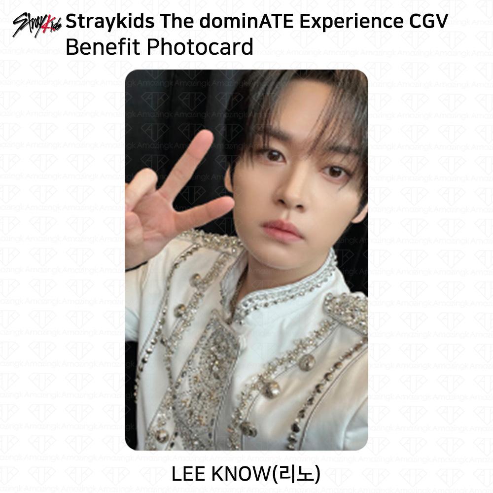 Stray Kids Die DominATE Experience CGV Vorteil Fotokarte SKZ KPOP K-POP
