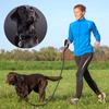 Durable Shock-Absorbing Dog Leash & Collar Set for Medium and Large Dogs - Anti-Pull, Safe & Comfortable