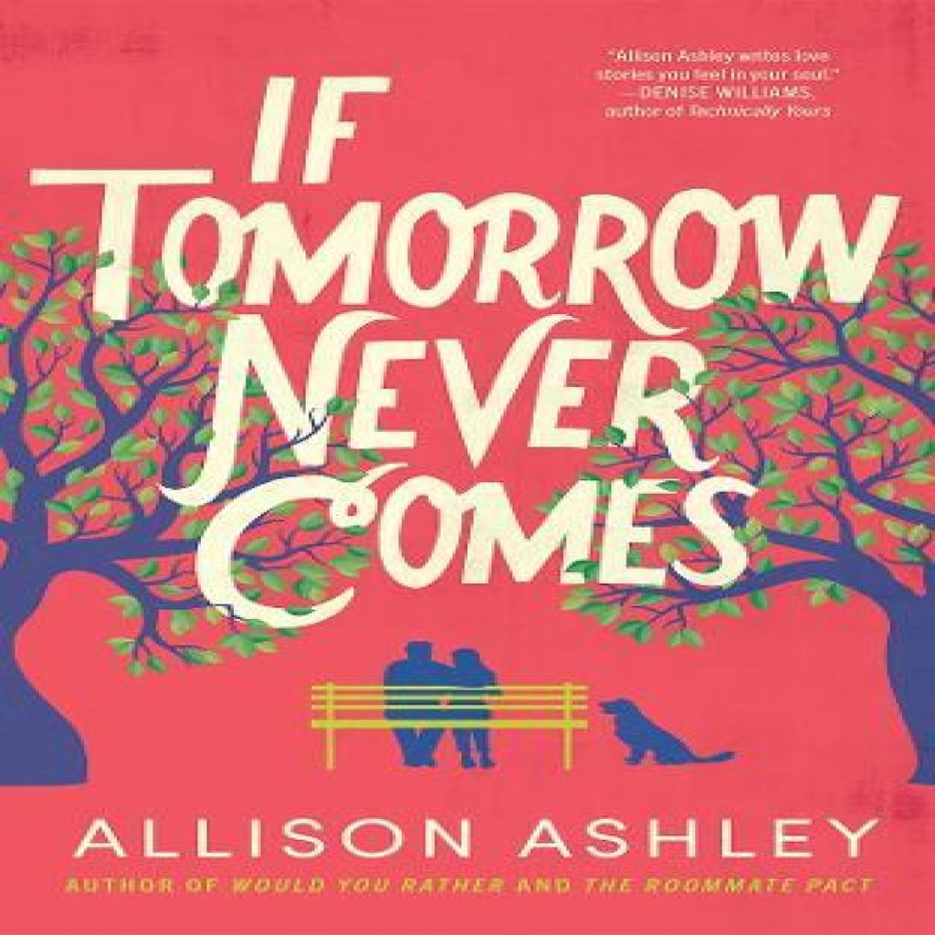 If Tomorrow Never Comes by Allison Ashley Paperback Book 9781662527272