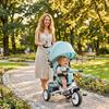 Baby Tricycle, 12+ Months, Telescopic Push Handle, Mom Bag, Bottle Holder, Mint Green