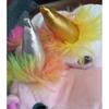 30CM Hand Dolls Children's Toys Plush Rainbow Unicorn Cute Unicorn Family Story Role Playing Finger Toys
