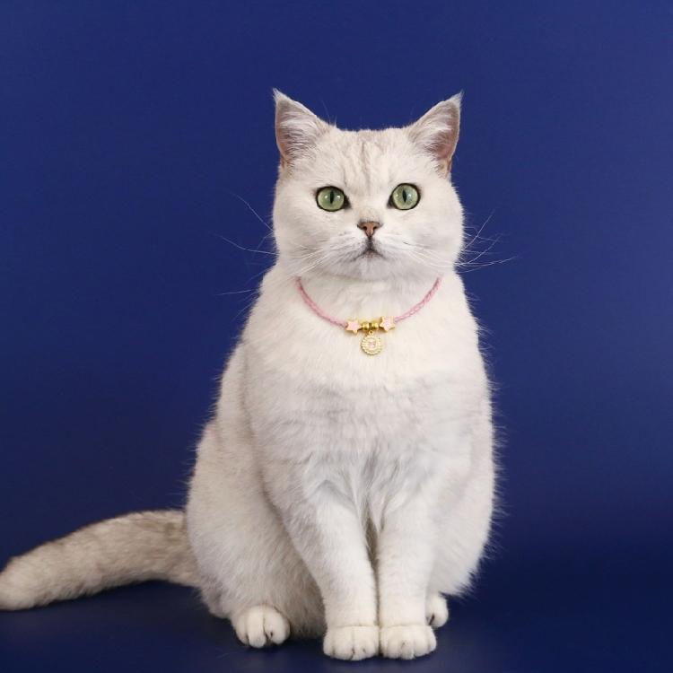 Vintage Cats Pendant Collar for Small Cats Decorative Necklace Collar for Birthday Party Dog Collar Pet Chinese Necklace