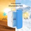 Portable 8L Mini Car and Home Refrigerator, Dual 12V, Cold/Warm, for Travel