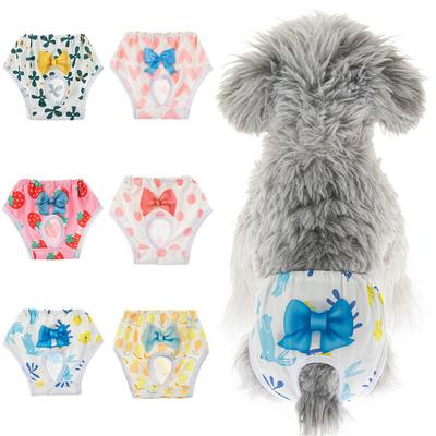 Köpek – Köpek bakım ürünleri