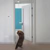 Retractable Cats Toy Rope Funny Cats Teasing Toy Cats Indoor Exercising