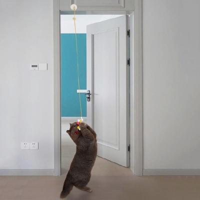 Retractable Cats Toy Rope Funny Cats Teasing Toy Cats Indoor Exercising