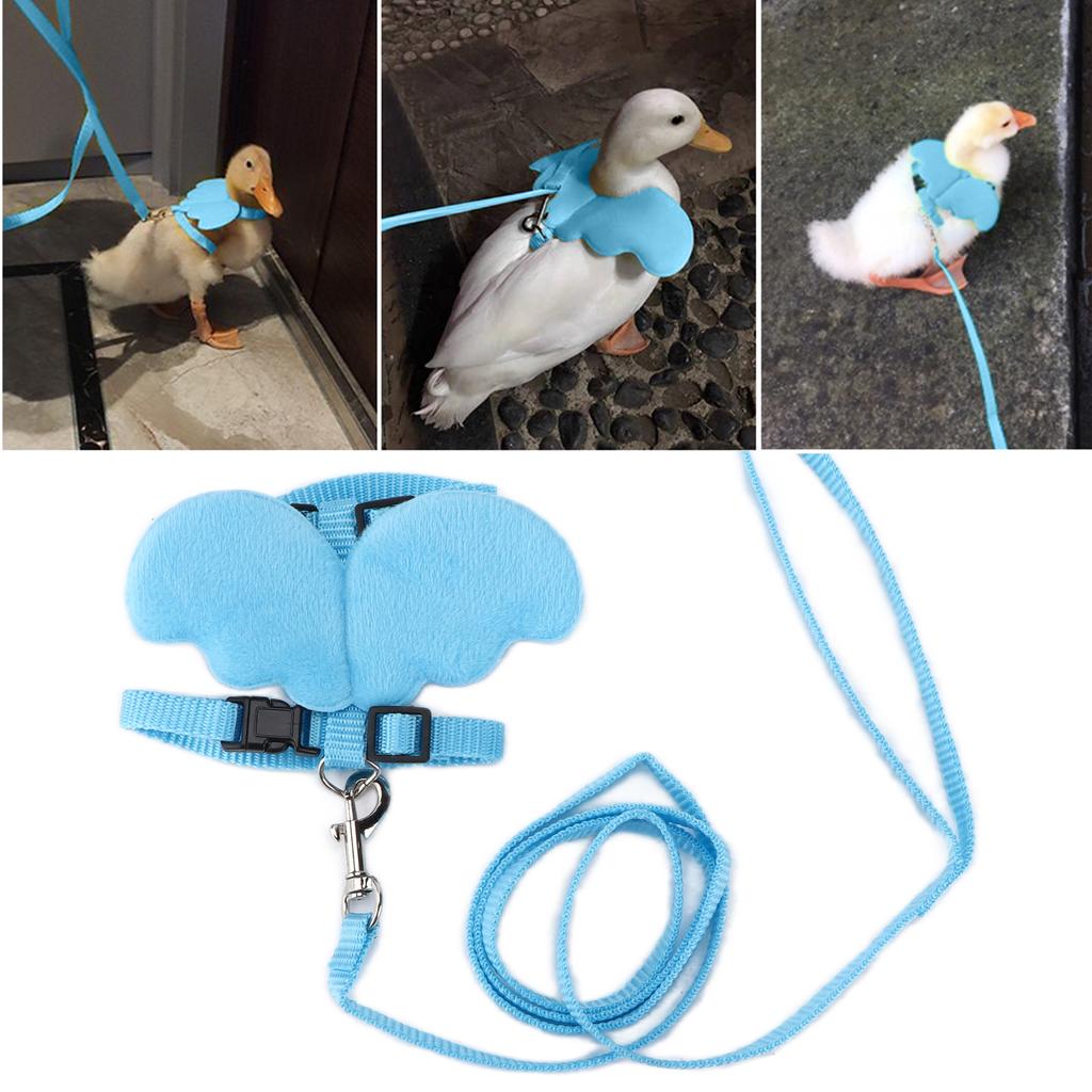 Enten-Traktionsseil, verstellbarer Brustgurt, Außen-Gehgeschirr, Leine für Haustier, Ente, Huhn, Gans