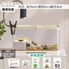 Pet Turtle Tank with Basking Platform Desktop Aquarium for Small Turtles Home Ecological Habitat Terrarium Living Room Decor