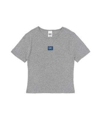 SEOUL APPAREL Box Logo Crop Short Sleeve T-Shirt (Charcoal)