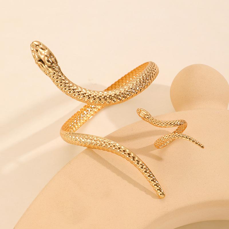 1Pcs/Set Vintage Snake Shaped Bracelets For Women Men Exquisite Punk Ring Personalized Earrings Party Jewelry Accessories Gifts