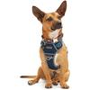 Hunde – Hundehalsbänder & Leinen