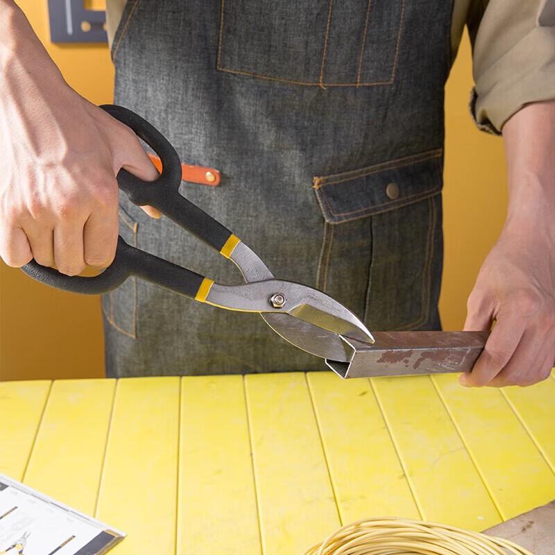 Deli 10-inch American Style Tin Snips