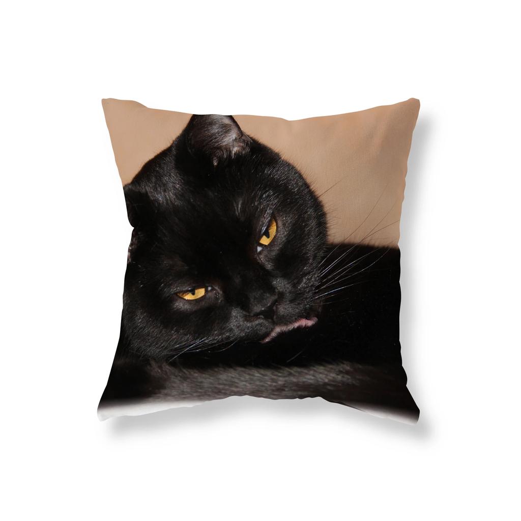 Cute Funny Black Cat Pillowcase   Sofa Car Decoration Office Game Chair Cushion Cover Room Home