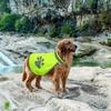 Reflective Dog Safety Vest with Harness High-Visibility Night Breathable Pet Jacket Puppy Walking Vest for Training Hiking