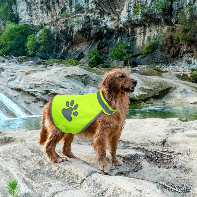 Reflective Dog Safety Vest with Harness High-Visibility Night Breathable Pet Jacket Puppy Walking Vest for Training Hiking