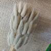 Yunnan Dried Flowers Bouquet - Rabbit Tail Grass