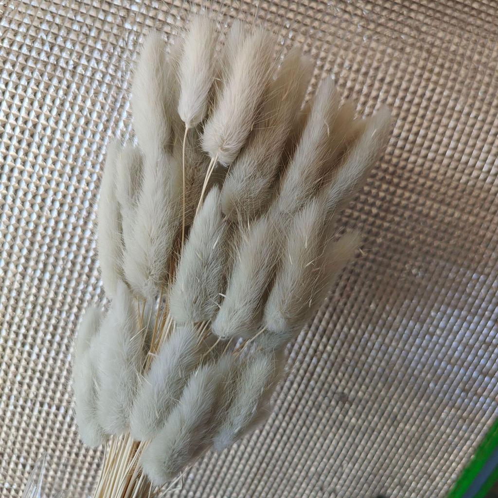 Yunnan Dried Flowers Bouquet - Rabbit Tail Grass