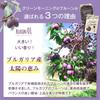 Brilliant Earth Organic Pitted Prunes 1kg Bulgaria JAS Certified