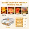 16/36 Egg Incubator for Hatching Chickens, Automatic Egg Turner, Clear Candler for Poultry, Duck, Goose Eggs