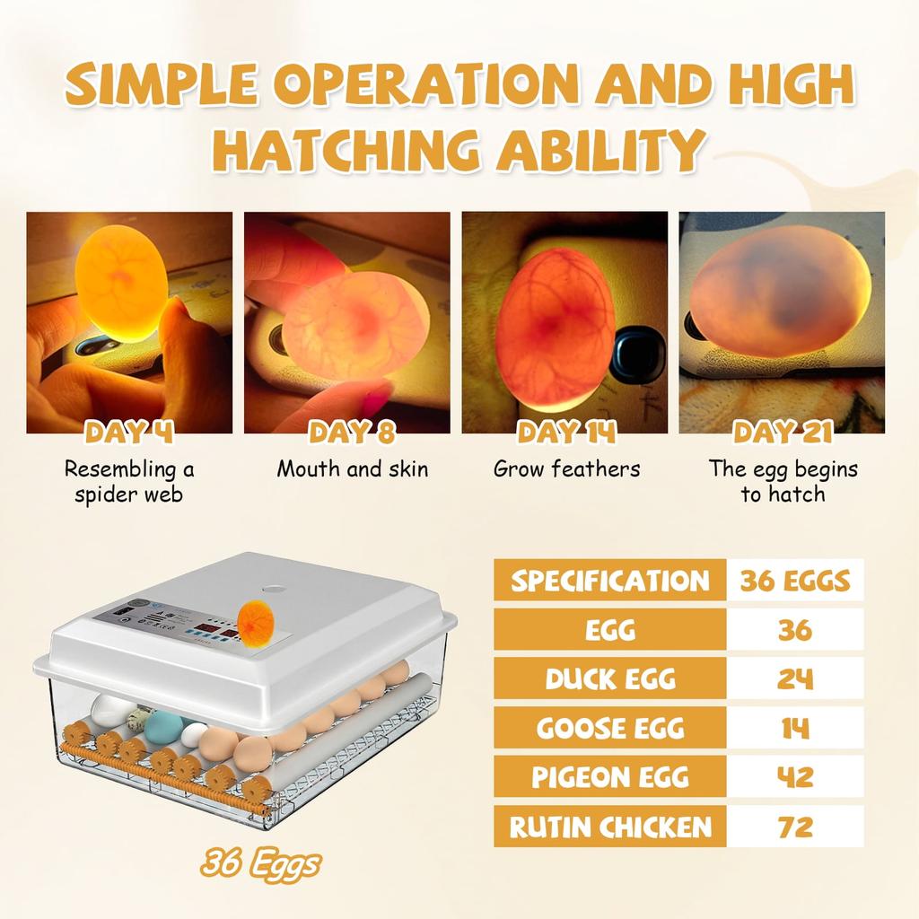 16/36 Egg Incubator for Hatching Chickens, Automatic Egg Turner, Clear Candler for Poultry, Duck, Goose Eggs
