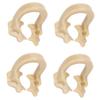 4pcs Resin Dental Dam Clamps Barrier Clip Dental Materials Tool Accessory for DentistL