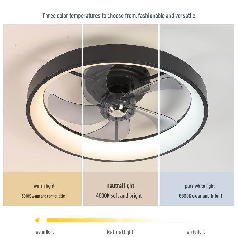 Smart Variable Frequency Ceiling Fan Light for Bedroom & Dining Room (110V, US/Japan Standard)