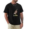 Myna Bird Hawaii TShirt Luxury Designer Quick Drying Tshirts Oversize Blue Lock Mens Graphic Tshirts