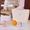 Borsa Pranzo Giapponese Borsa a Mano per Studente Impermeabile Cerniera in Lamina di Alluminio Termica Borsa Pranzo Portatile per Lavoro Borsa Termica Leggera