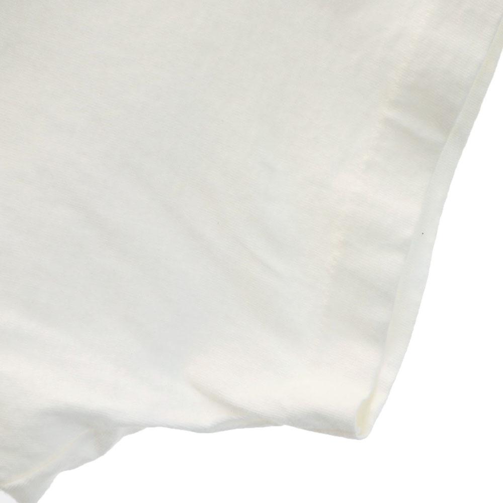 FRUIT OF THE LOOM 90s Made in USA Illustration Print Short sleeve Single stitch boynton T-shirt Men's Used