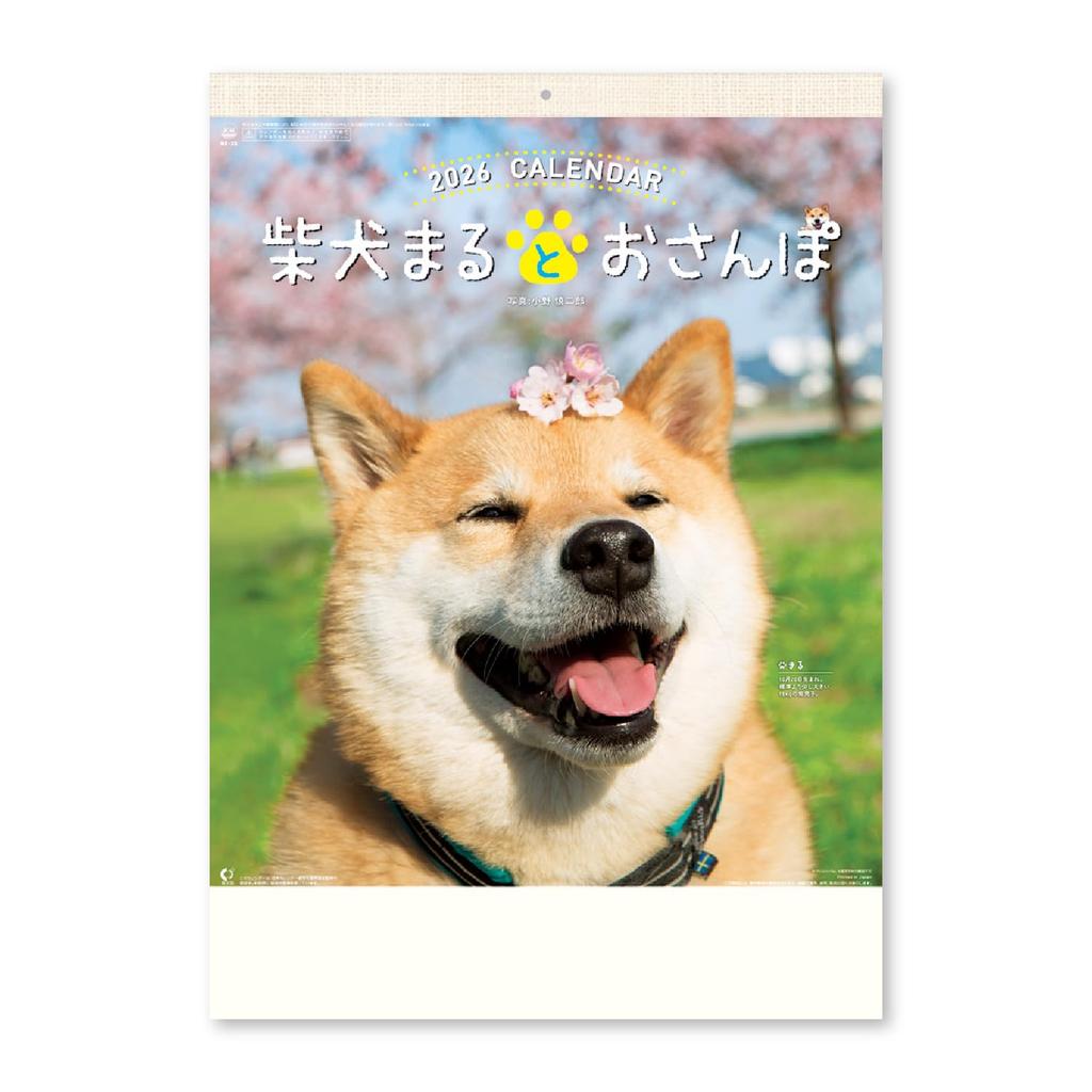 New Japan Calendar 2026 Wall Calendar and the Shiba Inu with Chronology NK35 "Maru Walk"