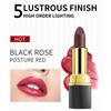 Highly Pigmented Women's Lipstick, Waterproof & Smudge Proof, All-Day Comfortable Moisturizing Wear, Ideal for Daily Use and Special Occasions