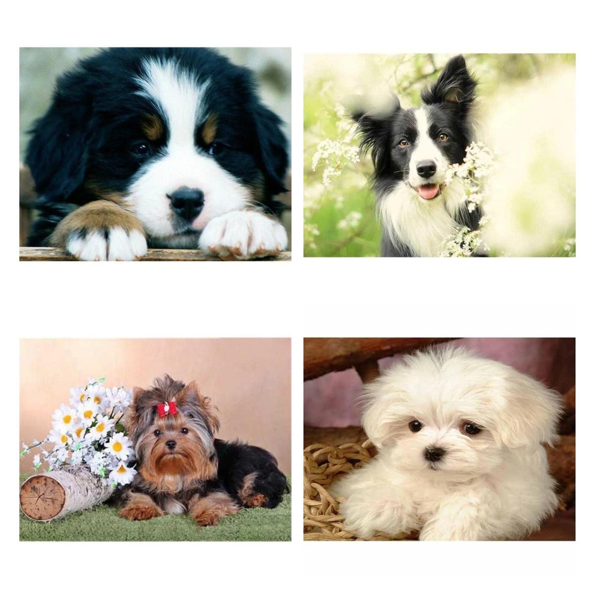 

5D DIY Алмазная картина, вышивка крестиком, мозаика, полная дрель, дисплей Quare/круглая Алмазная вышивка, подарок или украшение