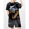 Children's T-shirt and Shorts Set, Comfortable, Skin-friendly and Breathable, Suitable for Sports and Daily Use
