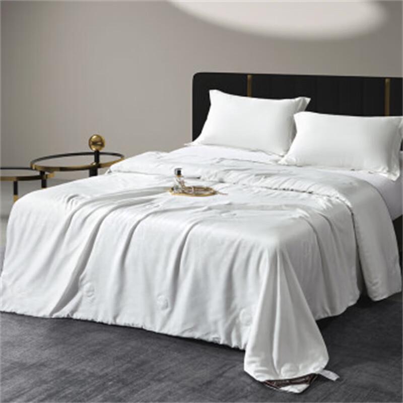 

Bamboo Impression Mulberry Silk Duvet Insert
