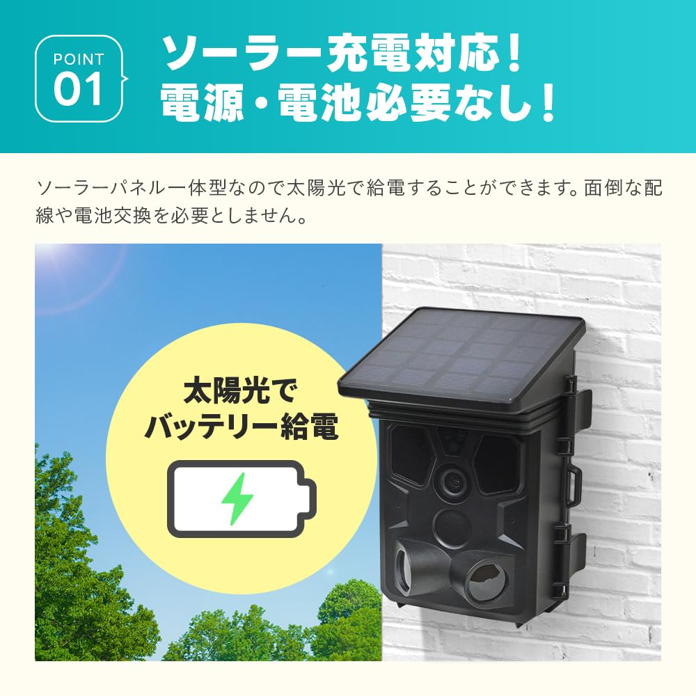 WTW Tsukamoto Wireless Trail Security 512GB MicroSD Card 100 Still 8 Megapixel 4K AP Integrated Solar Smartphone Nighttime Battery Reliable Domestic