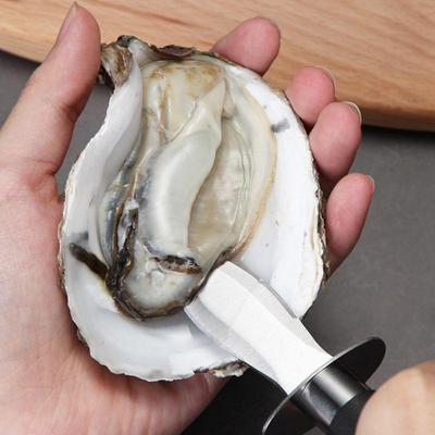 Kuchyňské nože a příslušenství – Kuchyňské nože