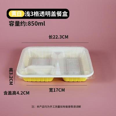 JingJingRS Disposable Bento Lunch Box