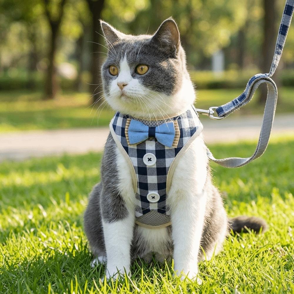 Adjustable Strap Cat Harness Set Adjustable Cat Leash Kitten Daily Activity
