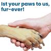 Leise Hundekralle Feile Holz Kratzbrett Hunde Selbstkrallfeile mit austauschbaren Schleifscheiben Sanftes Haustier Krallenschleifwerkzeug für Hunde und Katzen