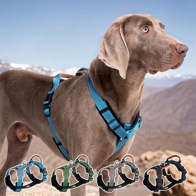 Dog Harnesses Leash Vest Strap With Refletive Strap Pet Chest Pet Dog Training Harness for Medium and Large Dogs Explosion Proof