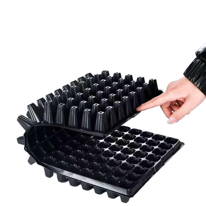 Thickened Seedling Tray for Corn, Vegetables, Strawberries & Peppers