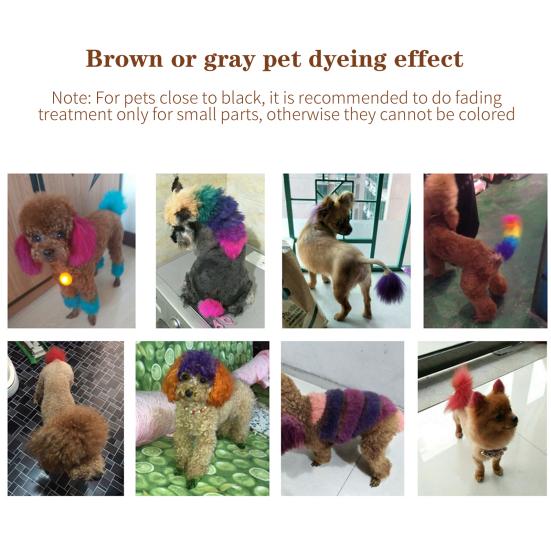 80g Semi Permanent Pet Dye Cream High Pigmented Colorful Dog Hair Bright Coloring Dyestuff Pigment Supplies for Home