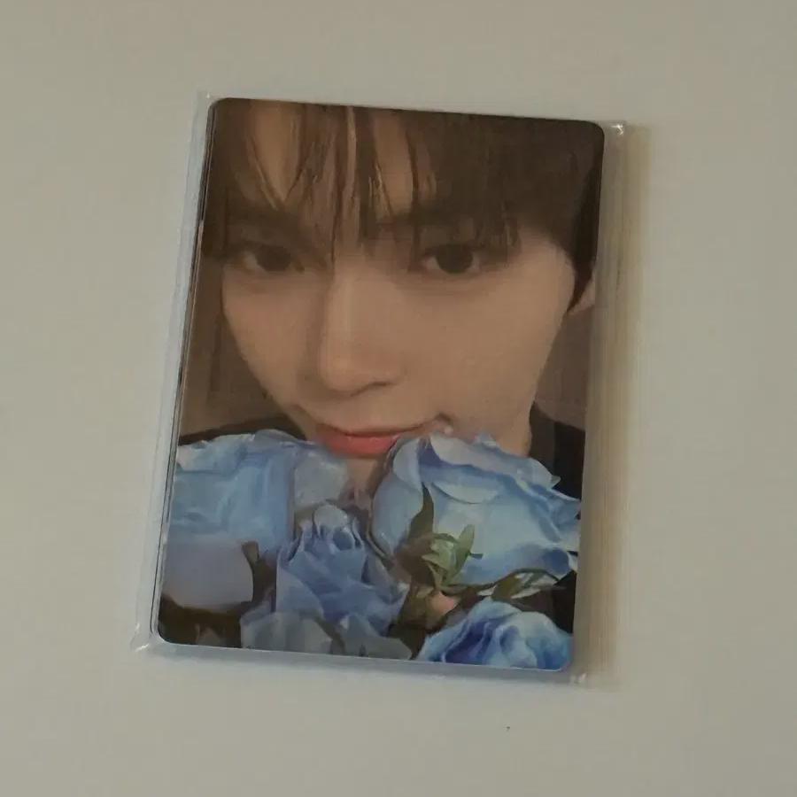 Zerobaseone Cake Photocard