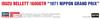 Hasegawa Isuzu Bellett 1600GTR 1971 Japanese Grand Prix Race Specification Plastic Model Kit 20776 1/24 (Automobile)