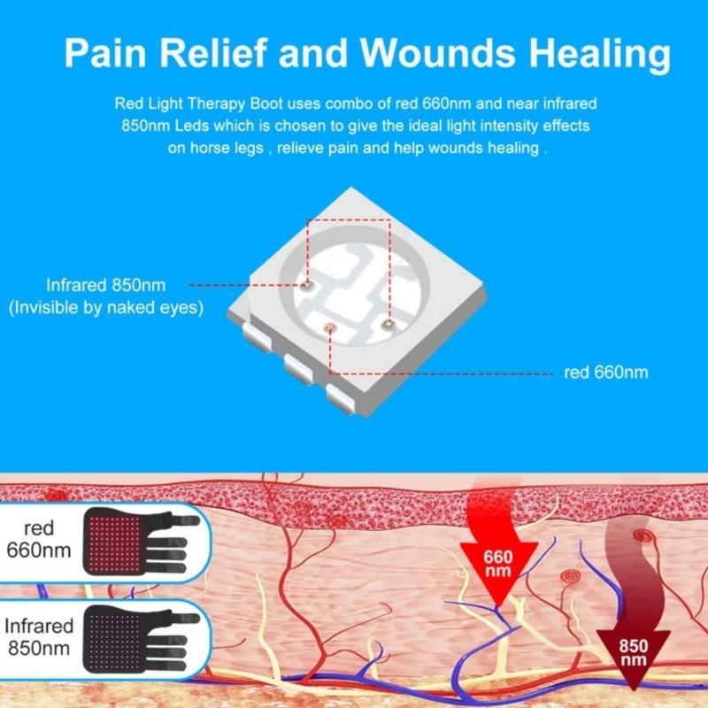 Portable Horse Leg Recovery Pad Using Advanced Light Therapy Technology For Training And Competitions