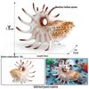Marine Animal Simulation Model Figures: Shark, Dolphin, Hammerhead, Crab, Squid, Starfish for Kids' Education