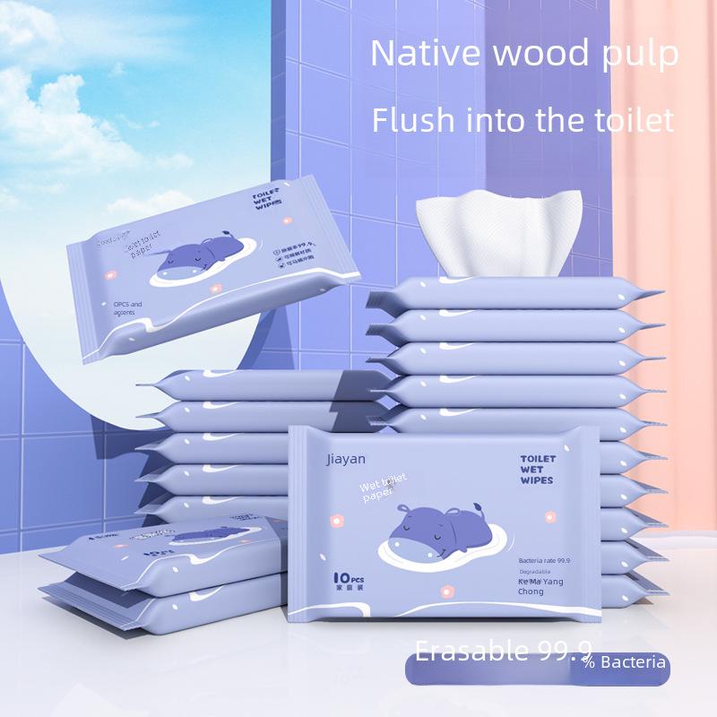 Biodegradable Wet Wipes: 10-Pack of Individually Wrapped Baby Wipes for Home Use