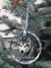 Alaskan Malamute - Crystal Bauble with a Photo, Dog Photo In Crystal, Personalized Christmas Tree Ornament by Art-Dog Brand