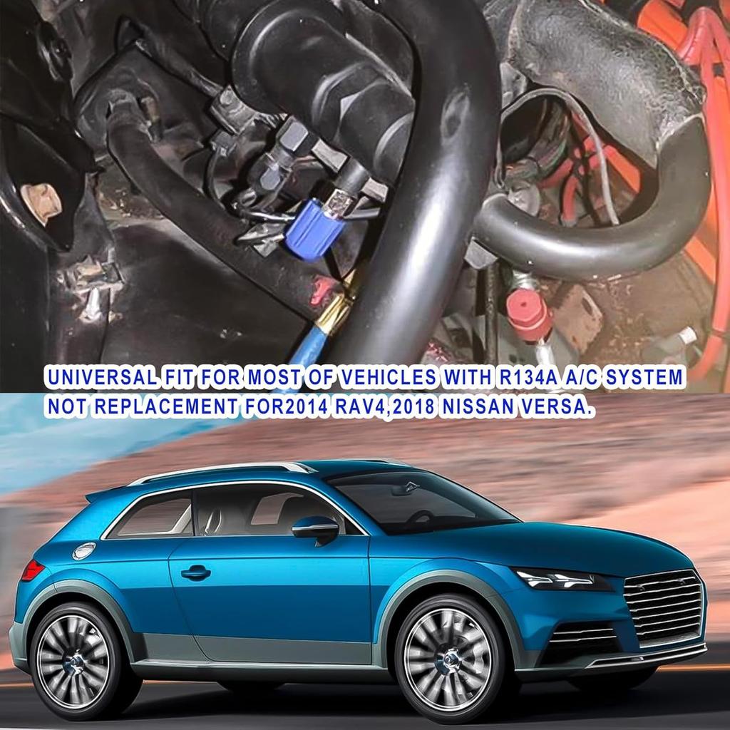 10Pcs R134a Cap A/C Cap 13mm & 16mm Air Conditioning Service AC System Charging Port Caps, 5 Sets Blue Low Side and 5 Sets Red High Side