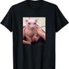 Lustige Bingus Meine Geliebte Nacktkatze Bingus Katze Meme T-Shirt(1)